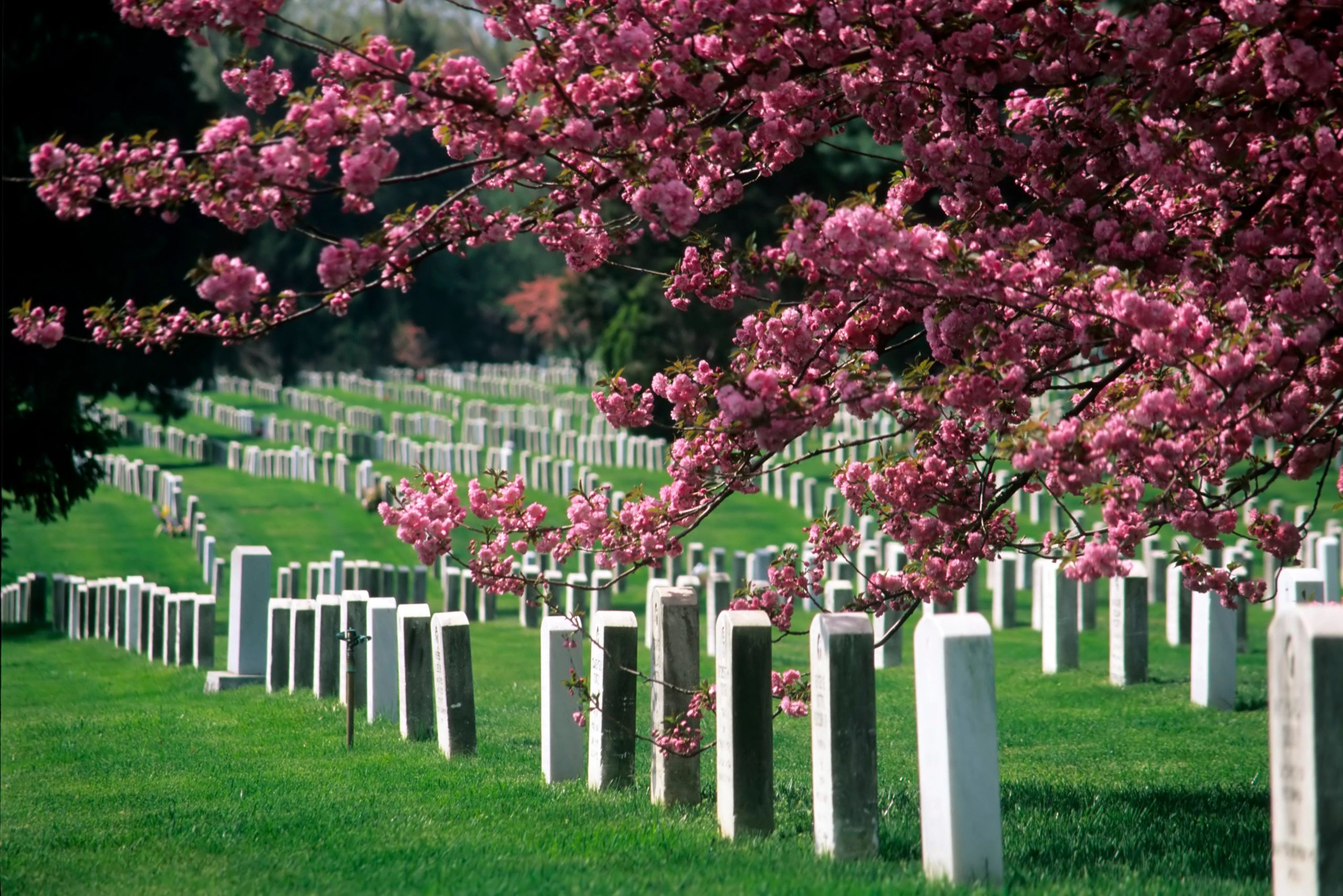 Arlington National Cemetery historical monument